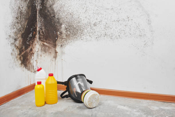 Best Professional Mold Removal  in Farmville, NC