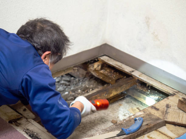 Best Commercial Mold Removal  in Farmville, NC
