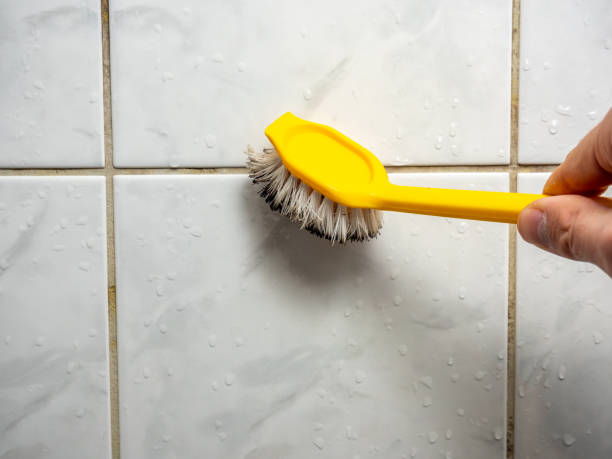 Best Mold Removal Company Near Me  in Farmville, NC