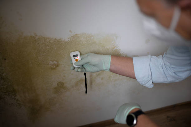 Water Damage Restoration in Farmville, NC