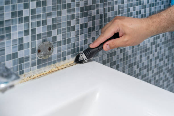Best Professional Mold Removal  in Farmville, NC