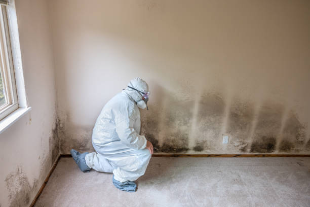 Crawl Space Mold Removal in Farmville, NC