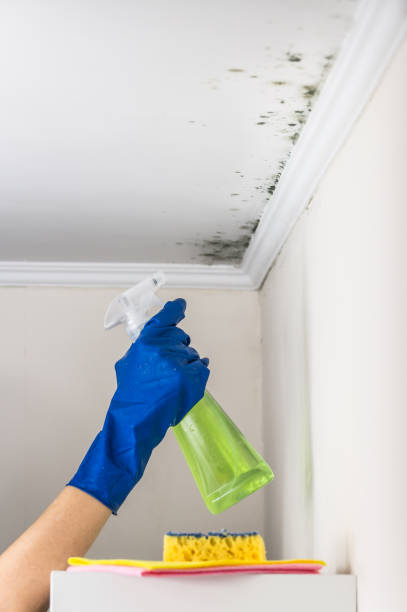 Best Residential Mold Removal  in Farmville, NC